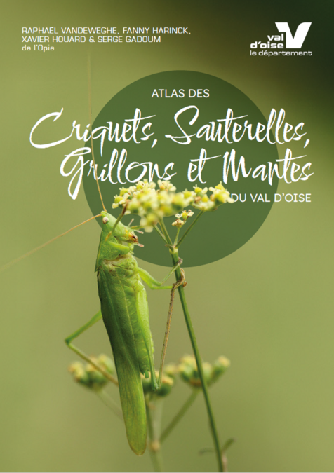 Ressource : FLYER - DEPLIANT